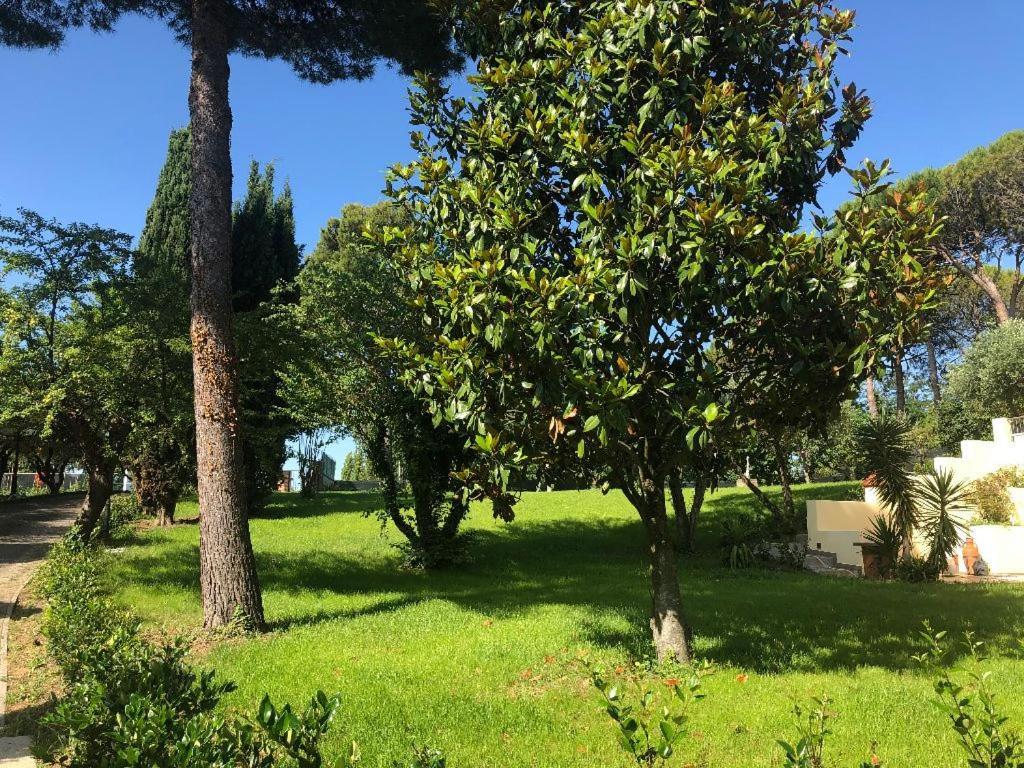 Residenza Verdemare Misano Adriatico Bagian luar foto